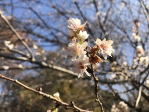 世田谷でお掃除