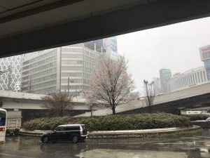 西新宿でお掃除