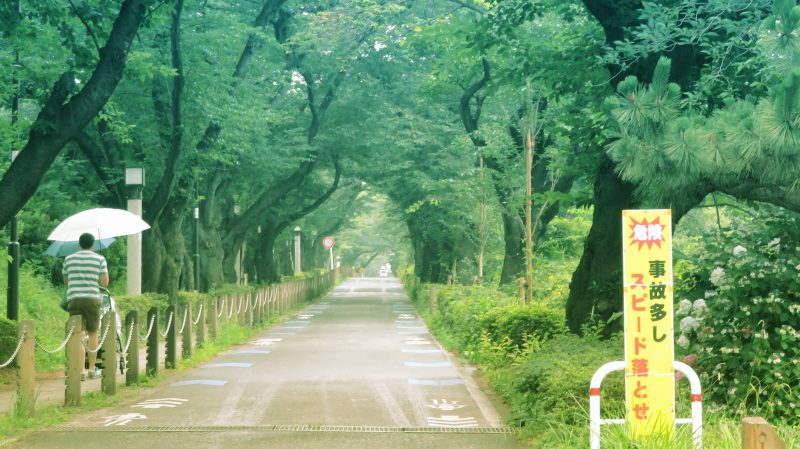 青山でお掃除